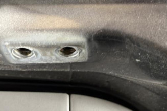 Malle/Hayon arriere FORD C-MAX 1