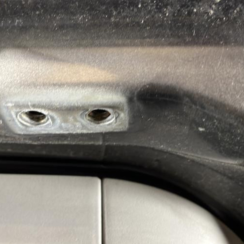 Malle/Hayon arriere FORD C-MAX 1 Photo n°7