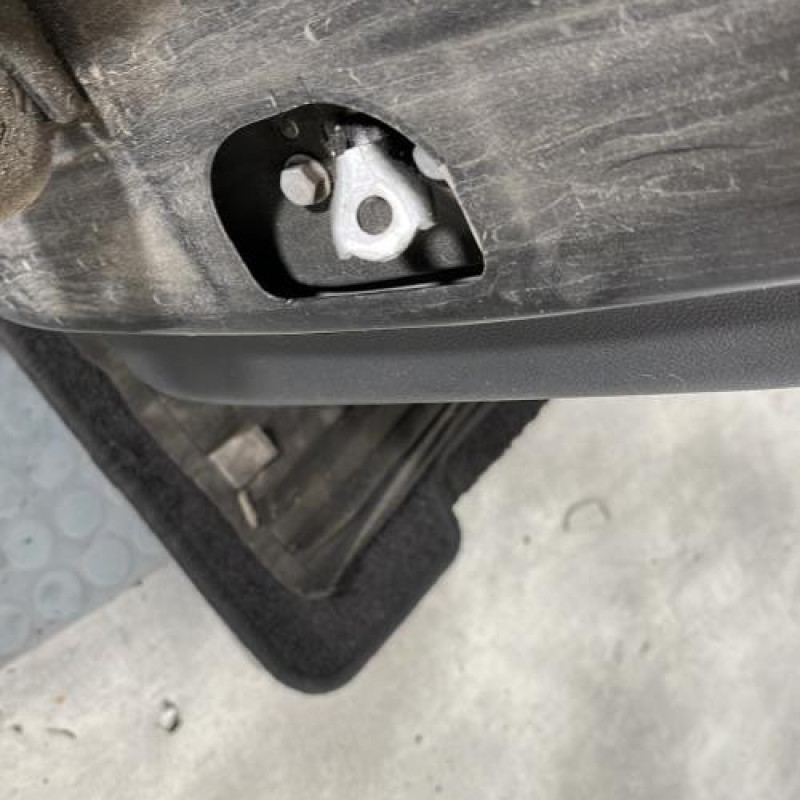 Porte arriere droit RENAULT MEGANE 3 Photo n°5
