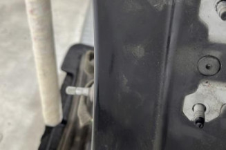 Porte arriere gauche RENAULT MEGANE 3