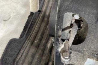Porte arriere gauche RENAULT MEGANE 3