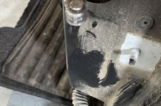 Porte arriere gauche RENAULT MEGANE 3