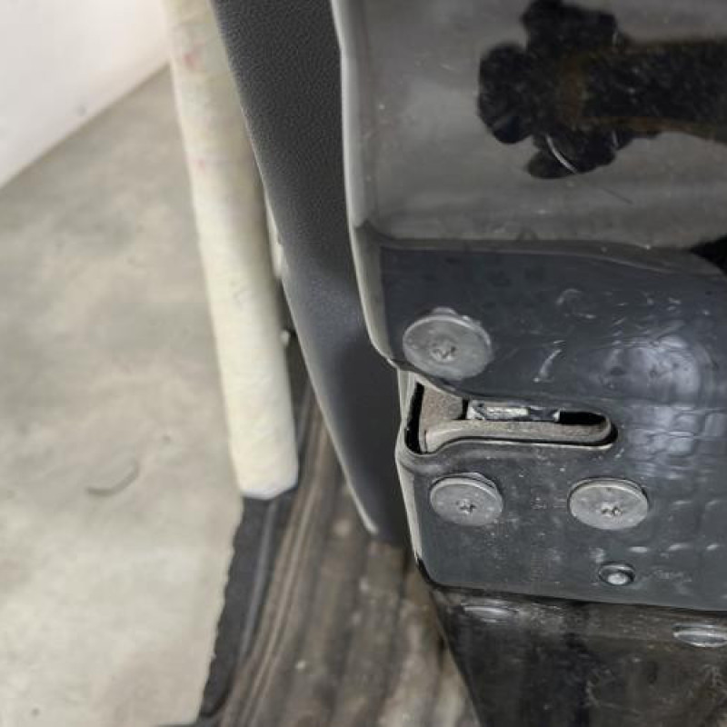 Porte avant droit RENAULT MEGANE 3 Photo n°3