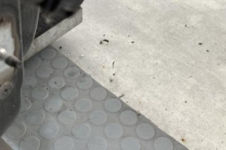 Porte avant droit RENAULT MEGANE 3