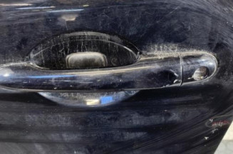 Porte avant gauche RENAULT MEGANE 3