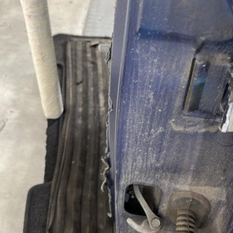 Porte arriere gauche RENAULT CLIO 2 Photo n°3