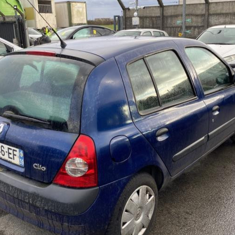Porte avant gauche RENAULT CLIO 2 Photo n°9