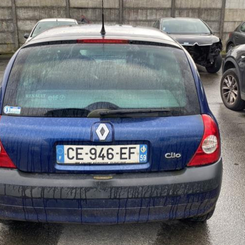 Porte avant gauche RENAULT CLIO 2 Photo n°11