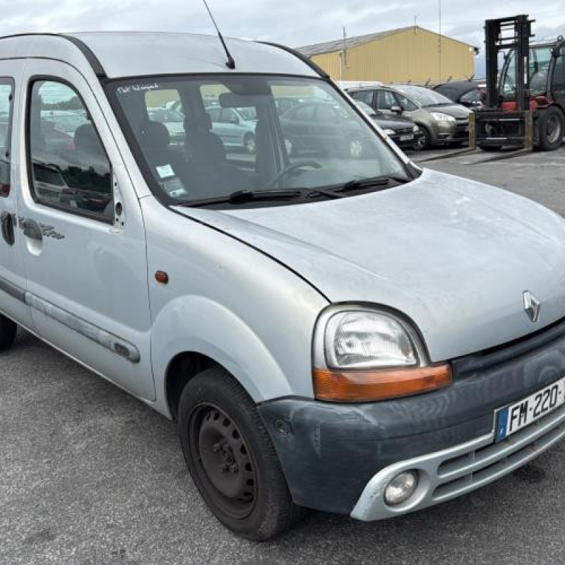 Porte avant gauche RENAULT KANGOO 1 Photo n°8