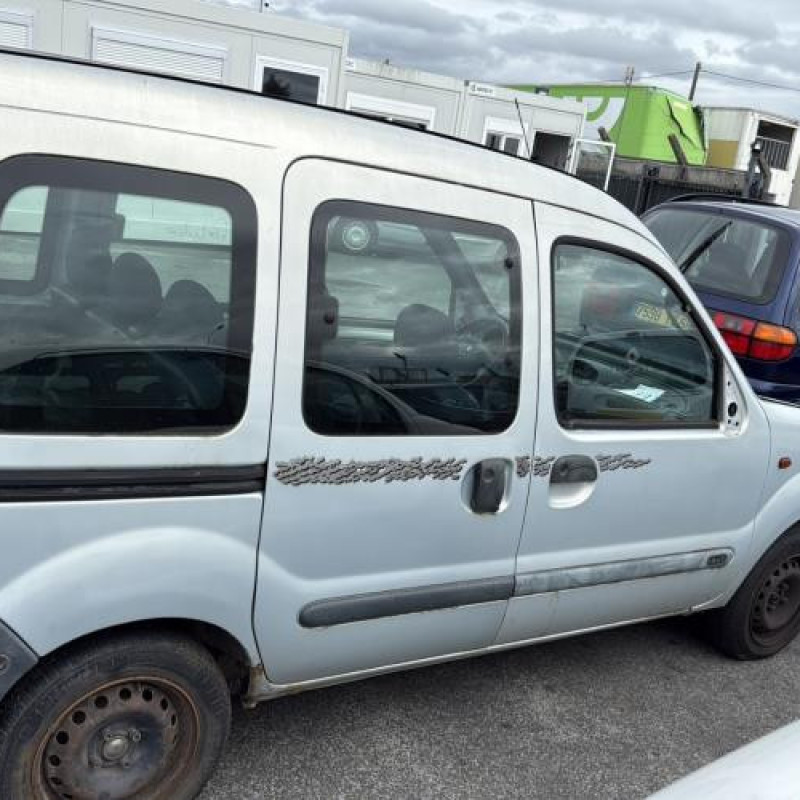 Porte avant gauche RENAULT KANGOO 1 Photo n°13