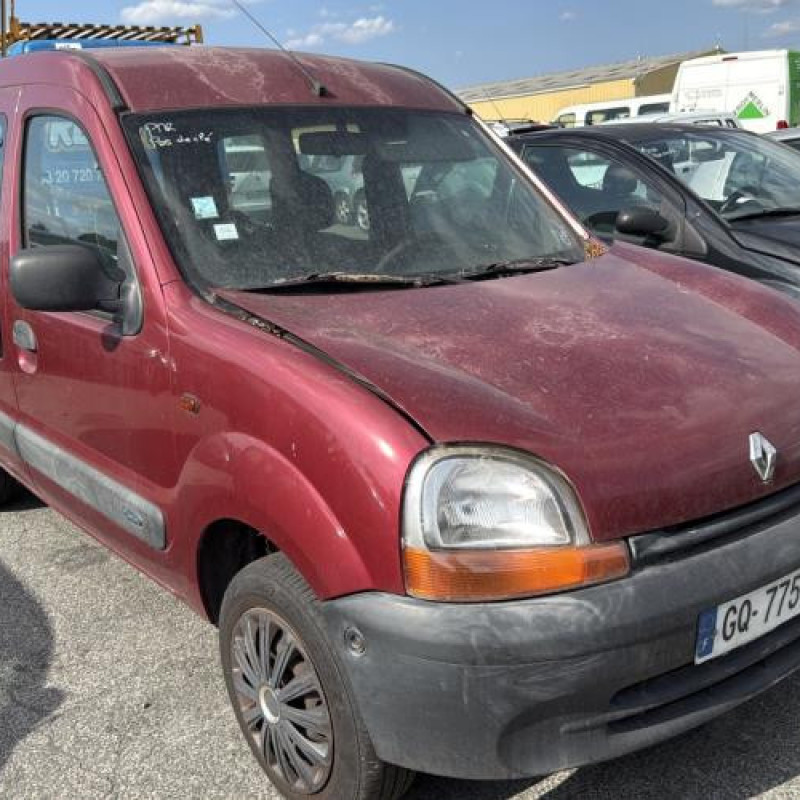 Porte avant gauche RENAULT KANGOO 1 Photo n°8