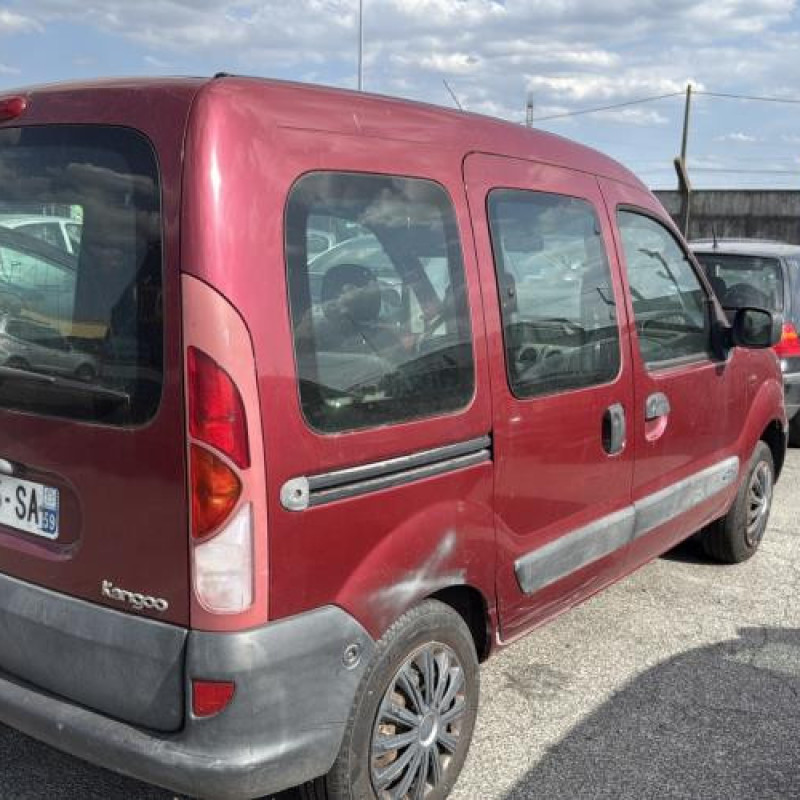 Porte avant gauche RENAULT KANGOO 1 Photo n°9
