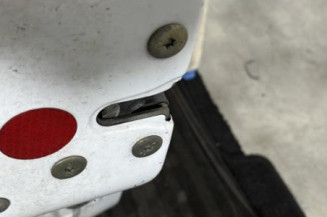 Porte avant gauche RENAULT CLIO 2