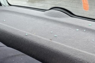 Porte avant gauche RENAULT CLIO 2