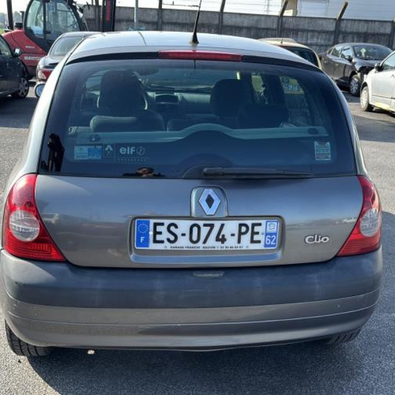 Porte avant gauche RENAULT CLIO 2 Photo n°11