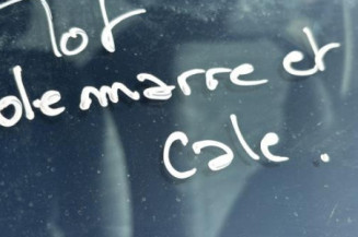 Porte avant gauche RENAULT CLIO 2