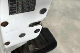Porte avant gauche RENAULT CLIO 2