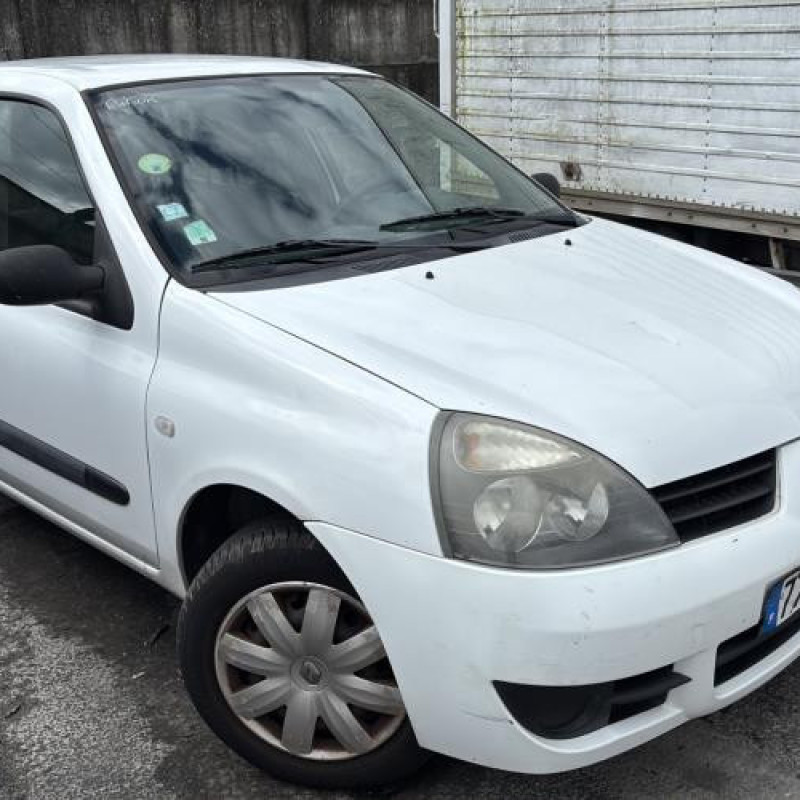 Porte avant gauche RENAULT CLIO 2 Photo n°8
