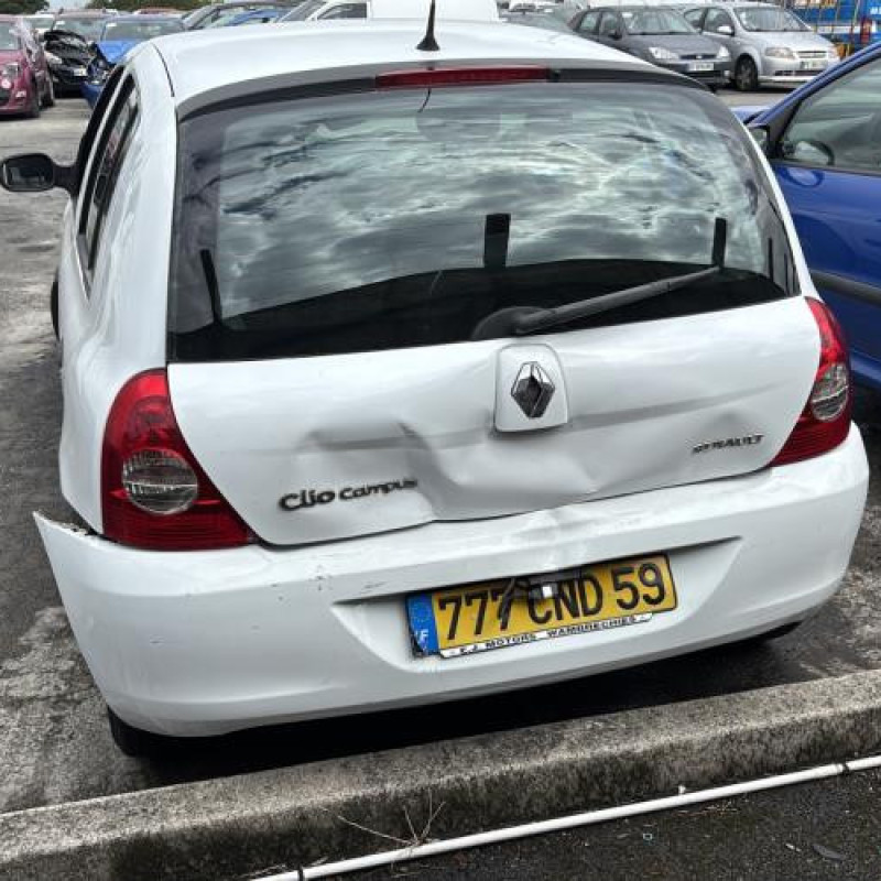 Porte avant gauche RENAULT CLIO 2 Photo n°11
