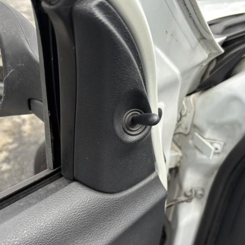 Porte avant gauche RENAULT CLIO 2 Photo n°17