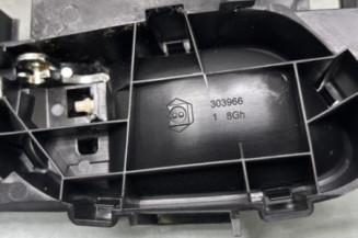 Poignee interieur arriere gauche CITROEN C4 GRAND PICASSO 1