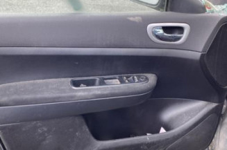 Vase de lave glace PEUGEOT 307