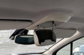 Vase de lave glace PEUGEOT 307