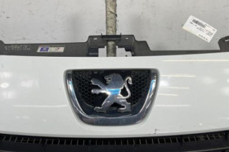 Calandre PEUGEOT EXPERT 3 Photo n°1