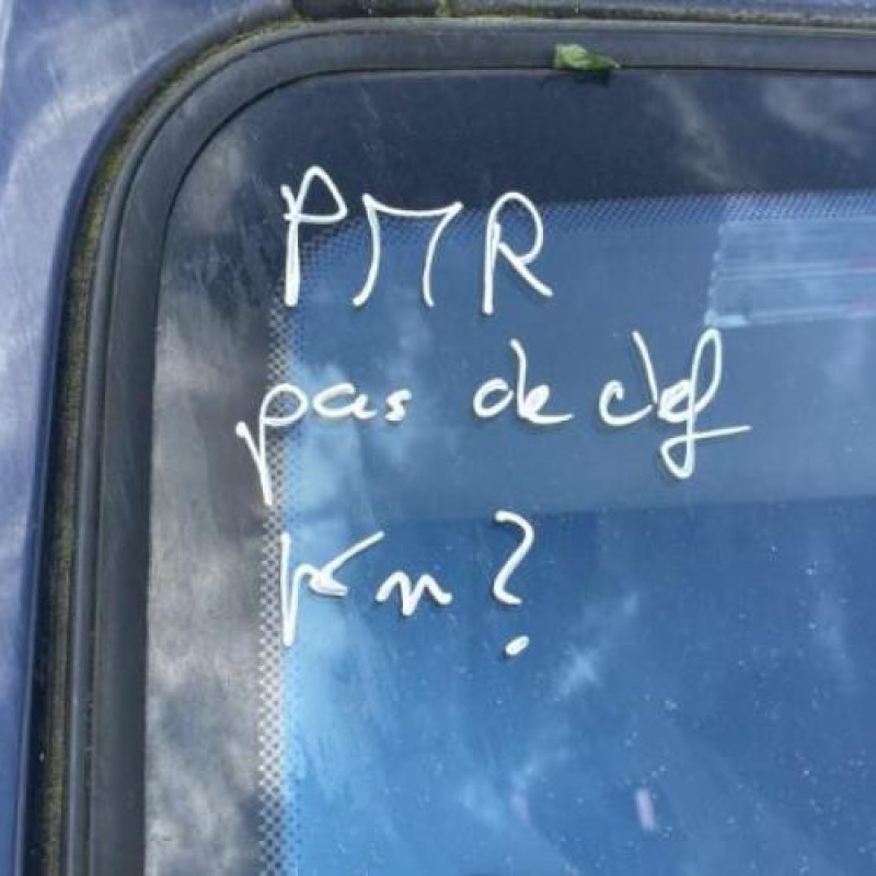 Feu arriere principal gauche (feux) RENAULT SCENIC 1 Photo n°11