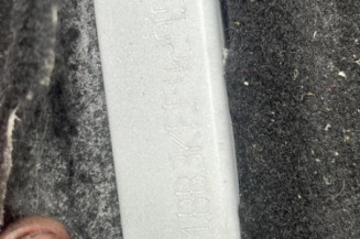 Baguette de porte avant gauche RENAULT CLIO 2 CAMPUS