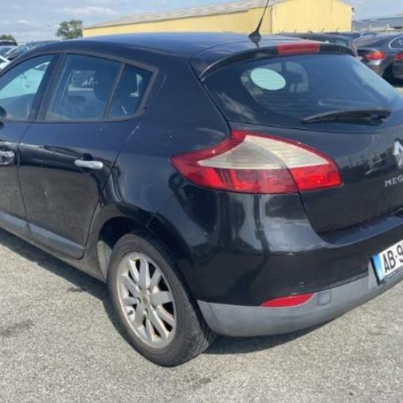 Baguette de porte arriere gauche  RENAULT MEGANE 3 Photo n°7