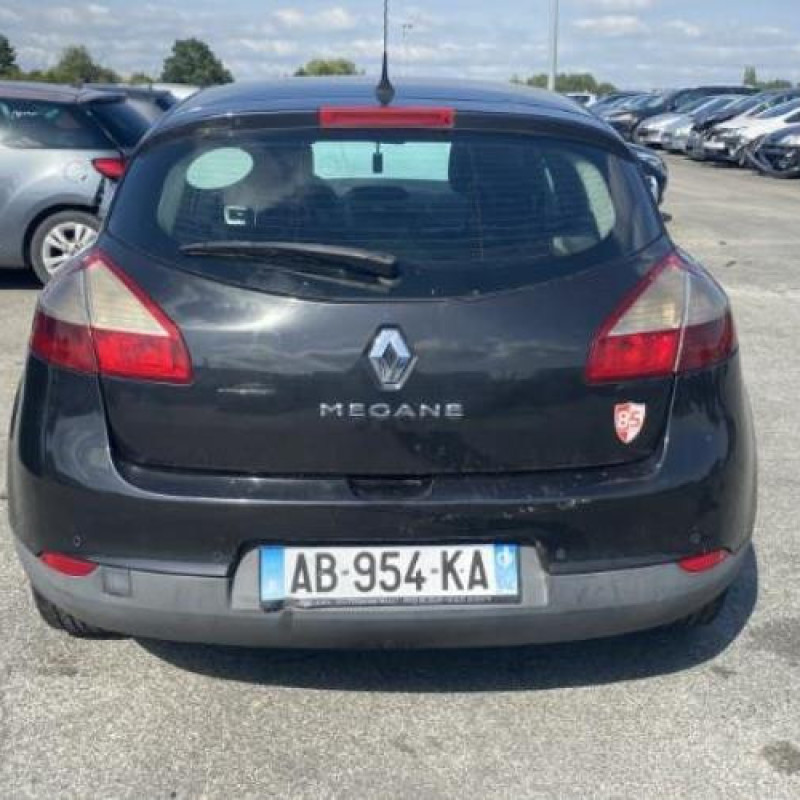 Baguette de porte arriere gauche  RENAULT MEGANE 3 Photo n°8