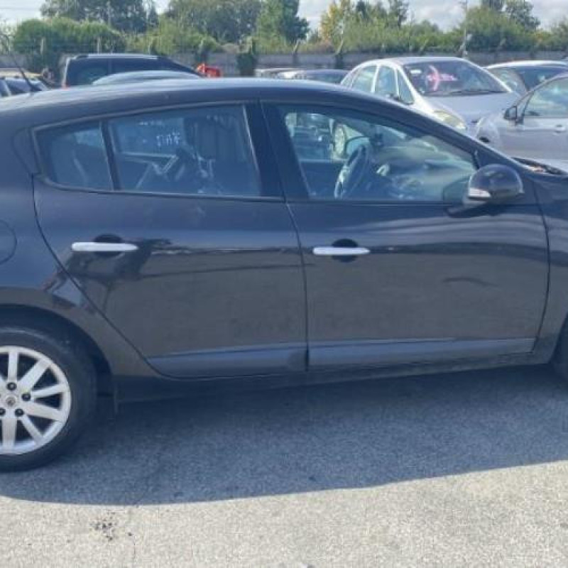 Baguette de porte arriere gauche  RENAULT MEGANE 3 Photo n°9