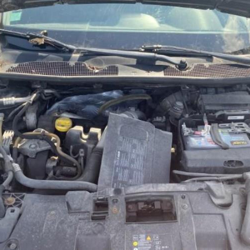 Baguette de porte arriere gauche  RENAULT MEGANE 3 Photo n°11