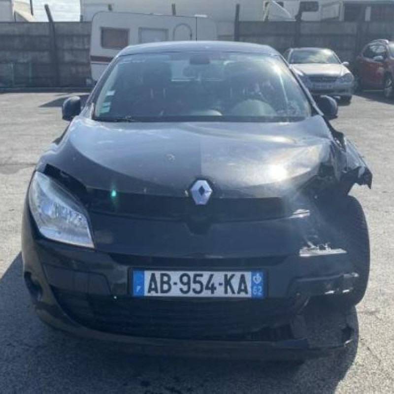 Baguette de porte arriere gauche  RENAULT MEGANE 3 Photo n°13