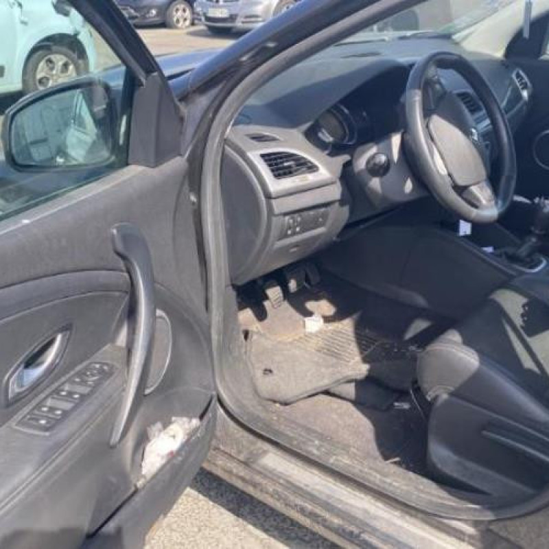 Baguette de porte arriere gauche  RENAULT MEGANE 3 Photo n°14