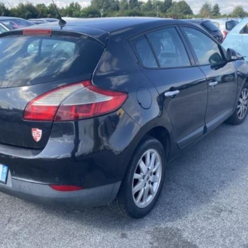 Baguette de porte arriere gauche  RENAULT MEGANE 3 Photo n°18