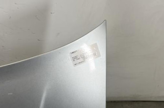 Capot PEUGEOT EXPERT 1