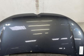 Capot CITROEN C1 2 Photo n°1