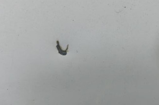 Porte de coffre droit PEUGEOT EXPERT 2