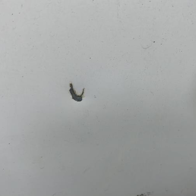 Porte de coffre droit PEUGEOT EXPERT 3 Photo n°4