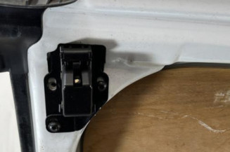 Porte de coffre gauche PEUGEOT EXPERT 2
