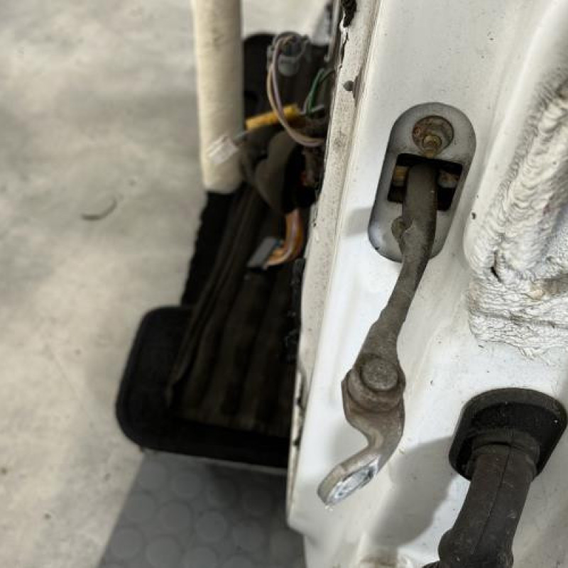 Porte avant gauche RENAULT CLIO 2 Photo n°4