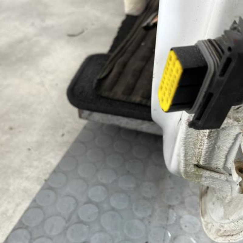 Porte avant gauche RENAULT CLIO 2 Photo n°5