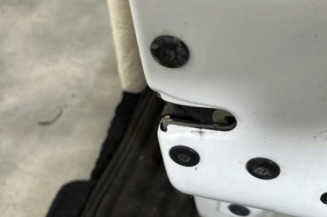 Porte avant droit RENAULT CLIO 2
