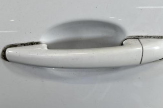 Porte arriere gauche CITROEN C3 2