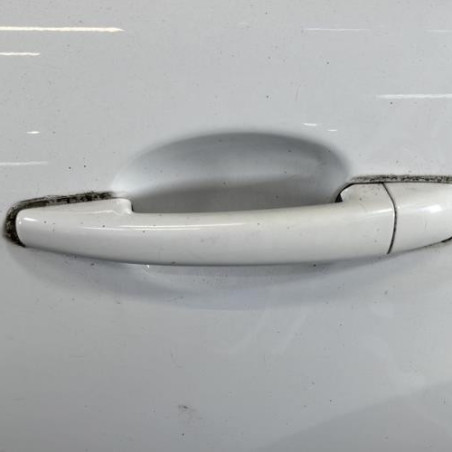 Porte arriere gauche CITROEN C3 2