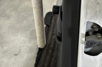 Porte arriere gauche CITROEN C3 2
