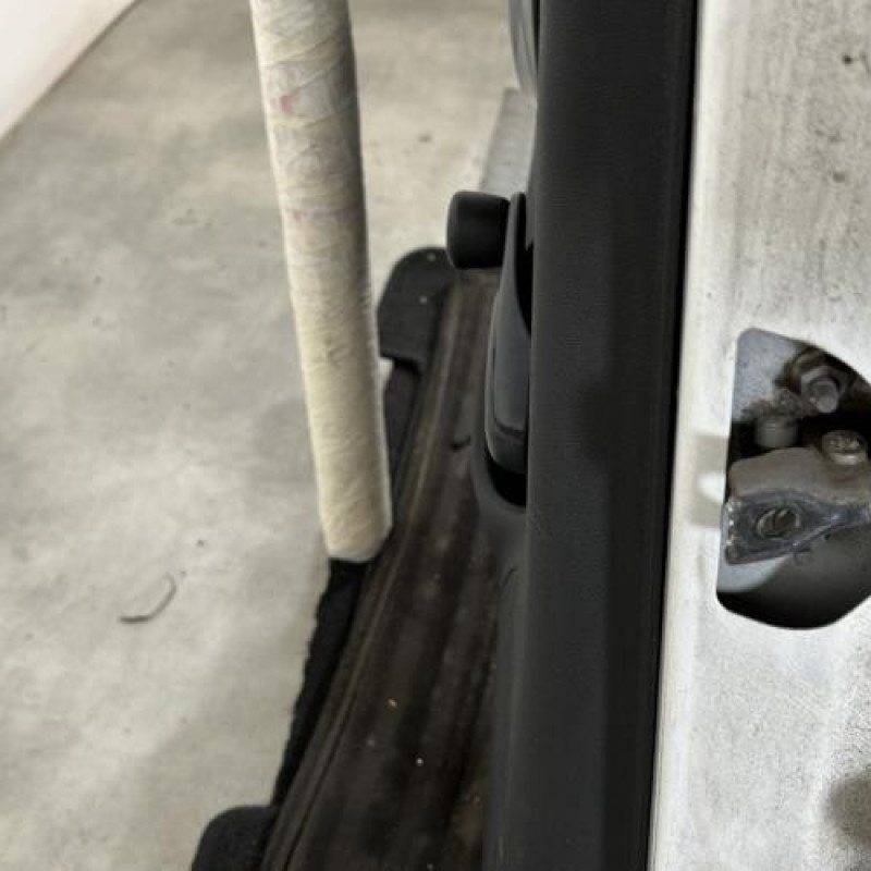 Porte arriere gauche CITROEN C3 2 Photo n°5