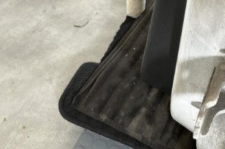 Porte arriere gauche CITROEN C3 2